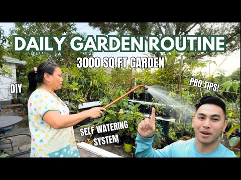 Watering our huge backyard garden | Mama Judy’s tips & tricks