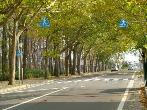 「夢ひとり」歌・岡崎しげる