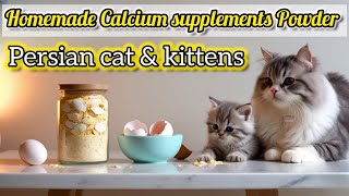 Homemade Calcium Supplements Powder Recipe For Persian Cat & Kittens || Healthy Homemade Cat Food