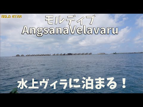 【モルディブ旅】Angsana Velavaruの水上ヴィラのルーム紹介！