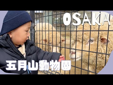 無料のミニ動物園発見！ふれあい広場で息子大喜び♪