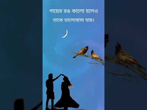 #shortsvideo #status #bangla #viralvideo