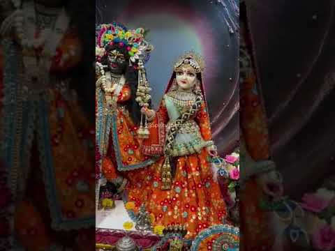 मीरा के प्रभु गिरधर नागर #shortsvideo2024 #trending #viral #radheyradhey #radhekekrishna #radhe