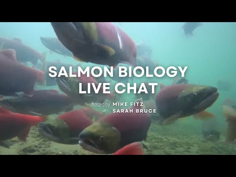 Salmon Biology | Brooks Live Chat