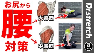 お尻からアプローチ！大臀筋・中殿筋を伸ばして「腰」の不調対策！＜3分ストレッチ＞ 【Dr.stretch / ドクターストレッチ】