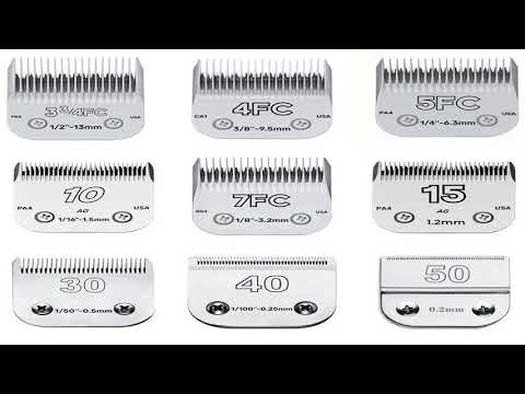 3F 4F 5F 7F 9# 10# 30# 40# 50# Professional Pet Clipper Blade A5 Blade Fit Most