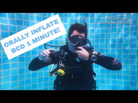 Hover and Orally Inflate the BCD for One Minute • Skill PADI Open Water Diver Course - Scuba Diving