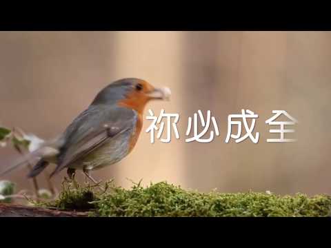 祢必成全