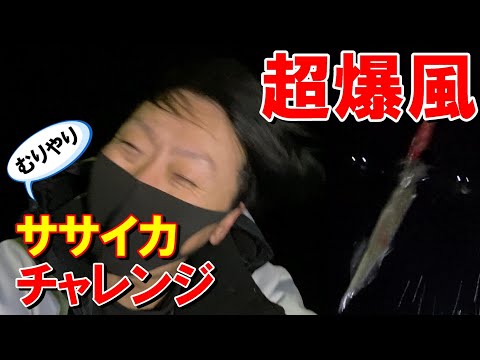 【福岡釣り】爆風の中で堤防ササイカ！果たして釣りは成立するのか！？ 【28釣目】 #ササイカ  #ヤリイカ  #釣り