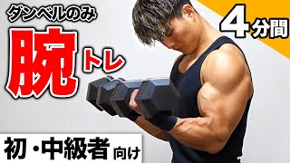 【1日4分】極太の腕を作る最強の二頭筋トレーニング【ダンベルのみ】