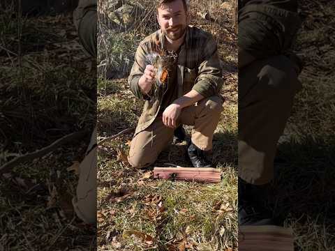 Bow drill friction fire using eastern red cedar. #survival #survivalskills #bushcraft #primal