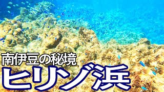 南伊豆の秘境　ヒリゾ浜でシュノーケリング満喫