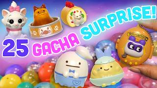 Opening 25 Mystery Gachapon Capsules