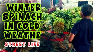 Is This Street Vendor Selling the BEST Winter Spinach in Town?