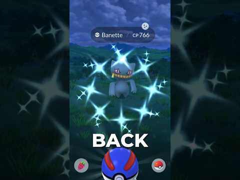 Top Counters for MEGA BANETTE!