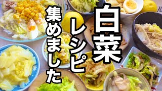 【白菜１６品】今日どれ作る？超保存版！時短簡単レシピ｜白菜大量消費