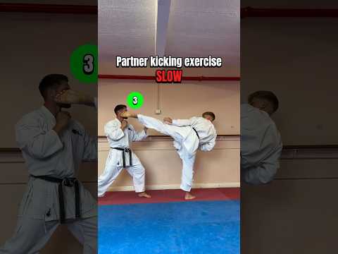 Partner kicking exercise: