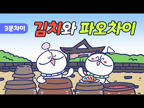 김치와 파오차이, 어떤 차이일까? | 위즈키즈