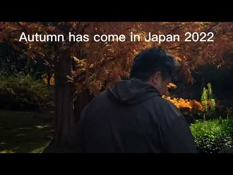 Starting the autumn in Sanda Japan 2022