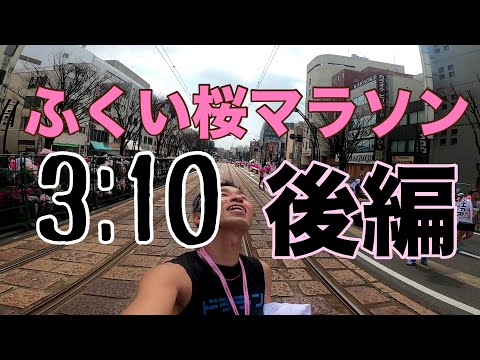 ふくい桜マラソン　後編 3:10を目指せ