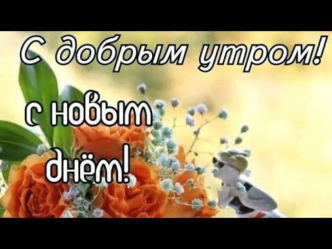 Красивое пожелание Доброго утра и хорошего дня! Музыкальная открытка!