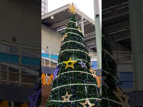 【クリスマスツリー】ワカバウォークにて🎄