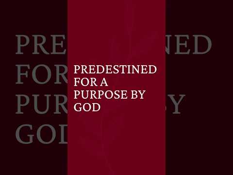 Predestined For a Purpose by God #christianpost