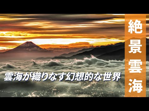 ”絶景雲海スポット”  雲上の楽園！雲海が織りなす幻想的な世界