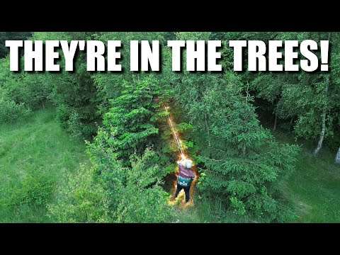 Lost Discs In The Trees at Eghjorten