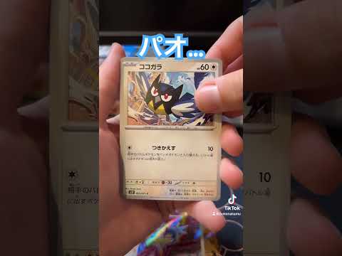 スノーハザードBOX開封！　#スノーハザード #ポケモンカード開封 #ポケカ開封動画 #ポケモンカード #ポケカ開封 #ポケモン #なかむー