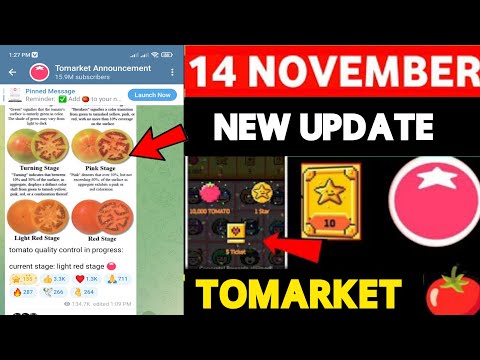 Tomarket Airdrop Combo 14 November| Tomarket Daily Combo Today | Tomarket Combo new update Today!!