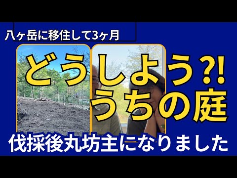 【全伐採完了】家の周りの木を全部切ったら、今度は何を作る？