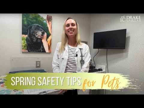 Spring Safety Tips and Hazards with Dr. Kovac