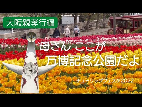 【万博記念公園】桜はどこだ！母に見せたい景色がここにある