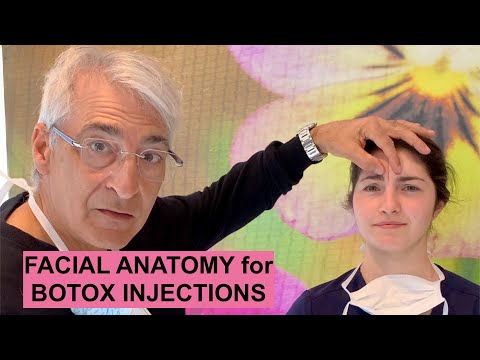 Facial ANATOMY for BOTOX Injections