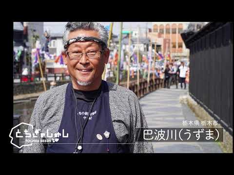 蔵の街遊覧船｜巴波川（うずま）｜栃木市｜とちぎのしゅし動画