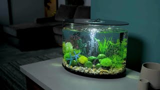 Aquarium Design Inspiration | biOrb LOOP 30