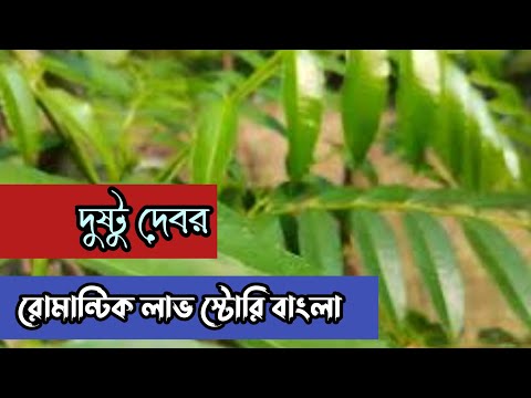 দুষ্টু দেবর || রোমান্টিক লাভ স্টোরি বাংলা ||Anika Dairy