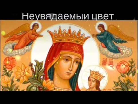 Короткая #молитва #пресвятаябогородица «Неувядаемый цвет» #казанскаябожияматерь #добро #мир #любовь