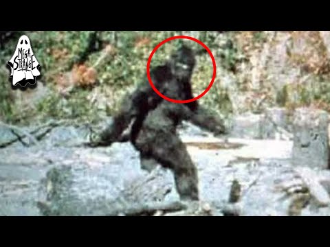 The Men Who Caught Bigfoot - Mega Strange #58