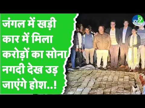 Bhopal: IT की रेड में मिला करोड़ों का सोना, देखकर उड़ गए अधिकारियों के होश!