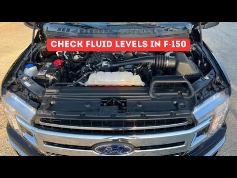 Ford F150 2015-2020 - How to Check all Fluid Levels?