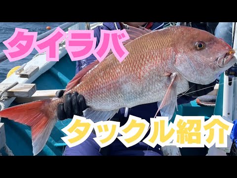 【タックル紹介】タイラバ編【鯛を釣り鯛あなたに届け鯛】【サムネは80cmです】