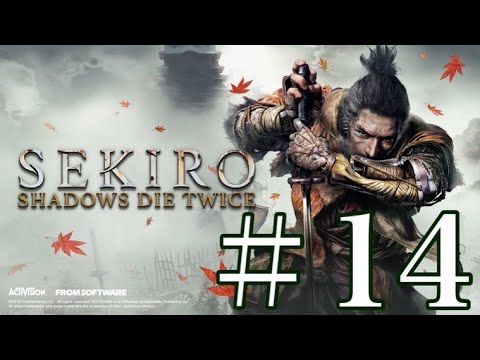 #14 SEKIRO