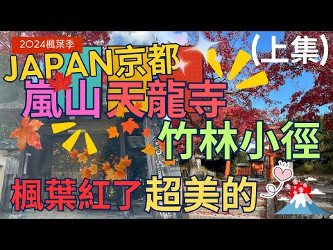 【2024日本京都行】嵐山楓葉紅了 ，整個就是美到無法形容   ▏Kyoto  ▏きょうと  ▏Travel Japan