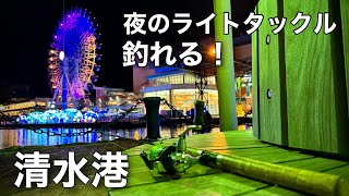 【清水港の釣り】夜のマリンパーク周辺でライトタックルルアーフィッシング