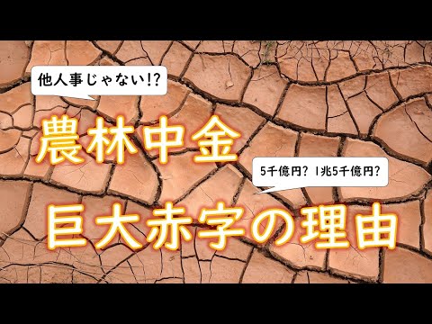 【日本国債は大丈夫？】農林中金の巨大赤字の仕組み、知っていますか？