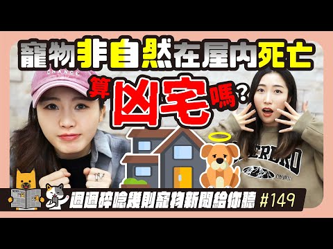 EP. 149寵物非自然在屋內死亡，算凶宅嗎？｜毛爸媽碎碎唸