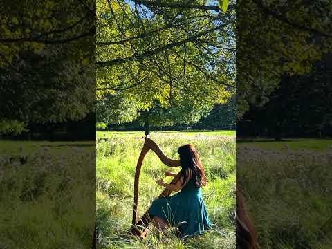 The Musical Priest - Celtic Harp #shorts