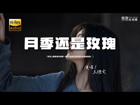 王理文 - 月季还是玫瑰♫『你闭上眼睛吻我的那一瞬间，脑海浮现的是我还是她的脸。』『动态歌词 | 高音质 | pinyin Lyrics』